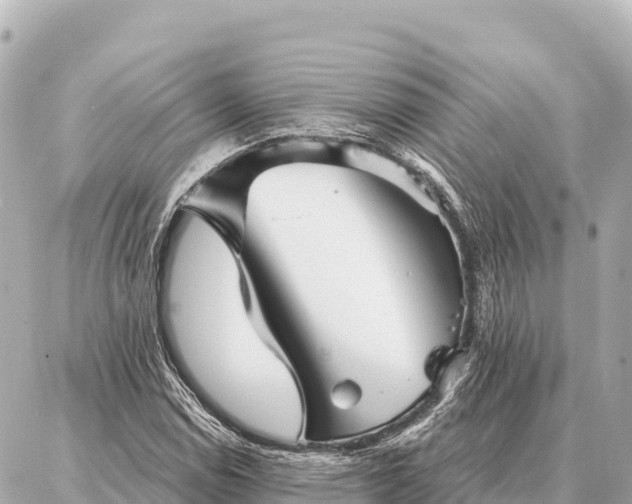 X0000086981114200704231812