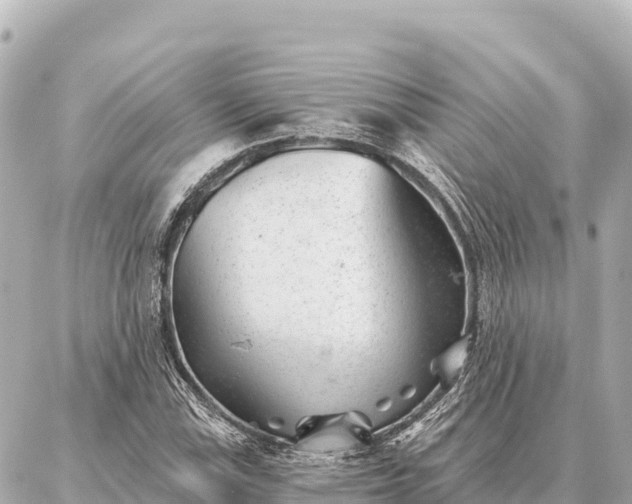 X0000086981115200704231812