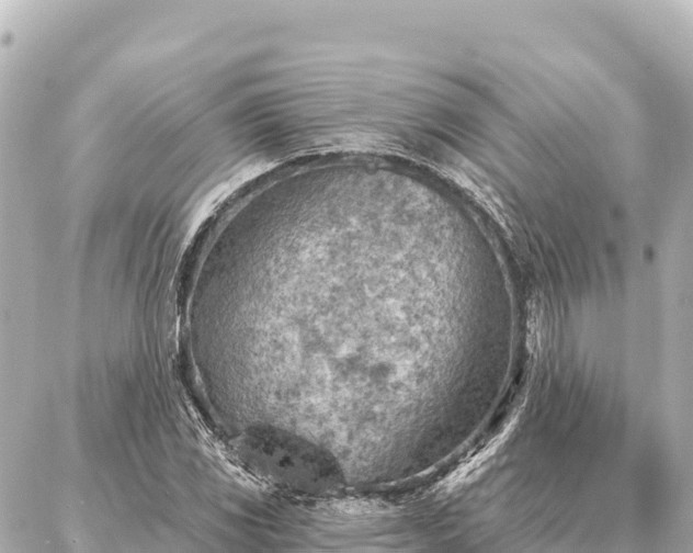 X0000086981117200704231812