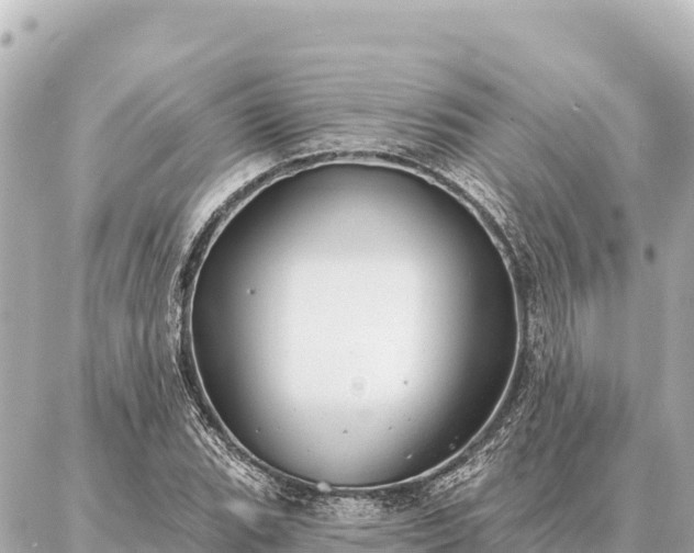 X0000086981119200704231812