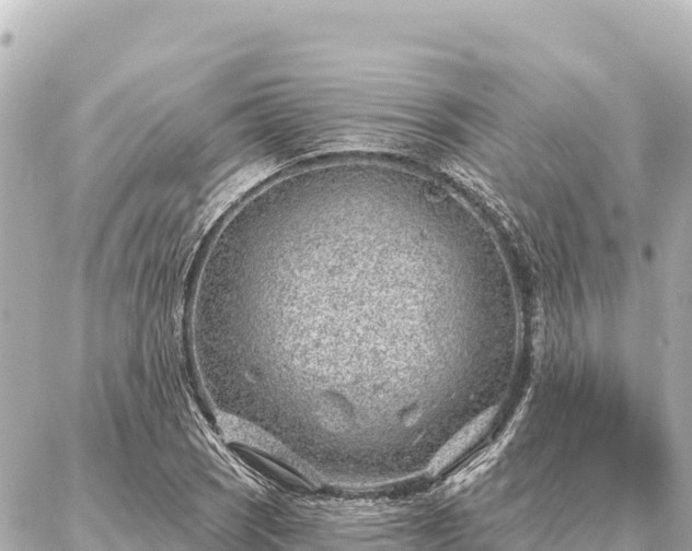 X0000086981121200704231812