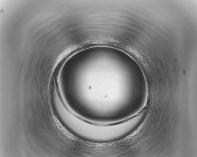 X0000086981122200704231812