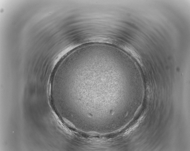 X0000086981125200704231813