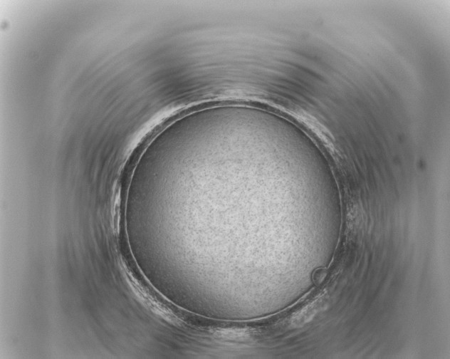 X0000086981126200704231813