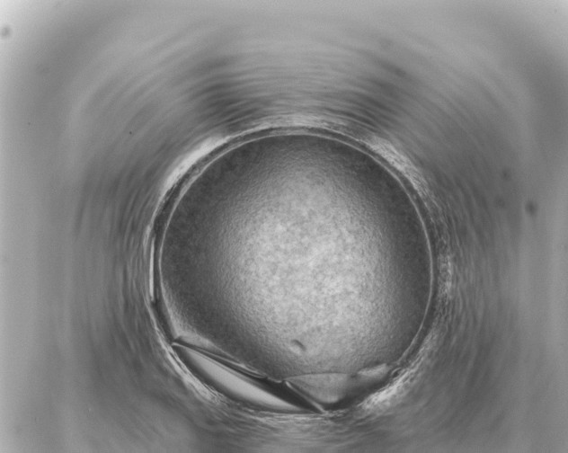 X0000086981127200704231813