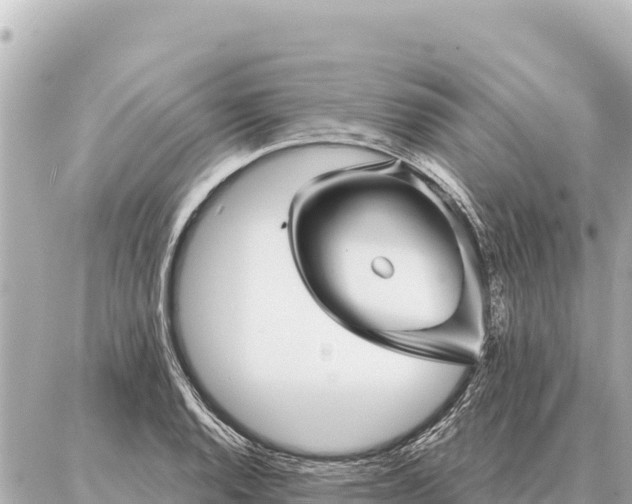 X0000086981128200704231813