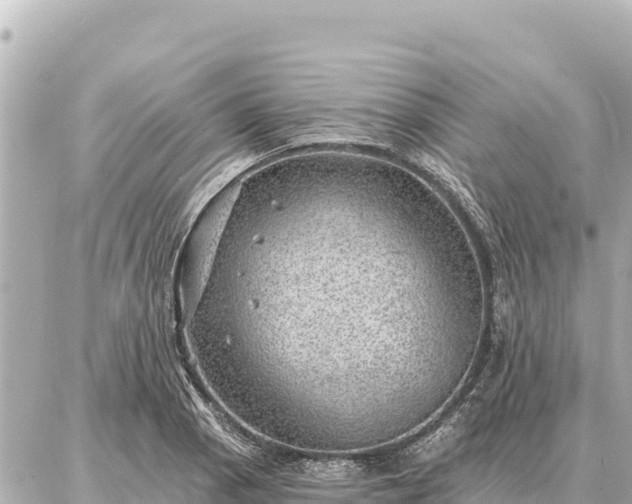 X0000086981129200704231813