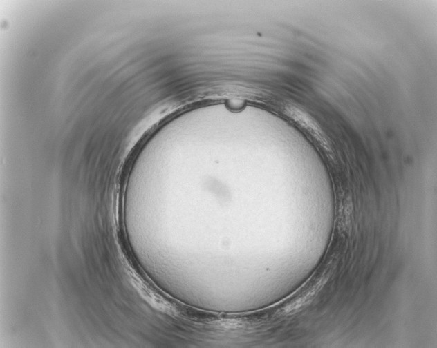 X0000086981130200704231813