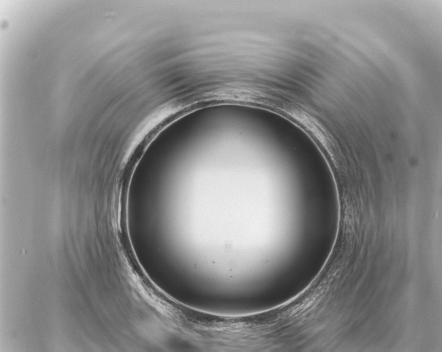 X0000086981131200704231813