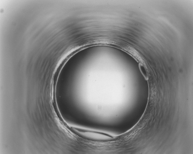 X0000086981132200704231813