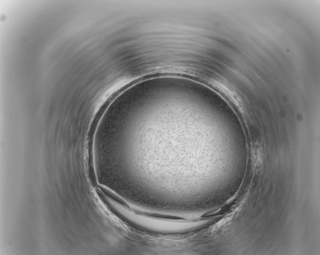 X0000086981133200704231813