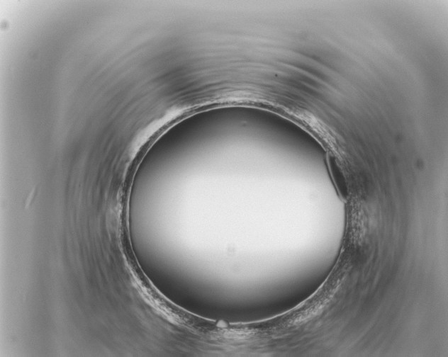 X0000086981134200704231813