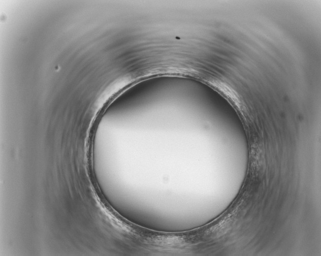 X0000086981135200704231813