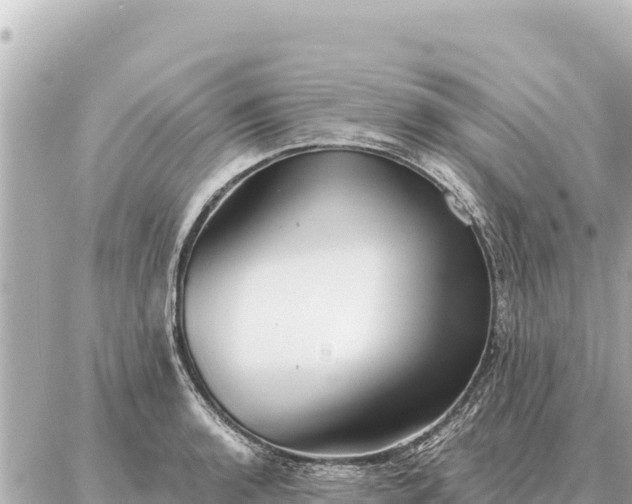 X0000086981136200704231813