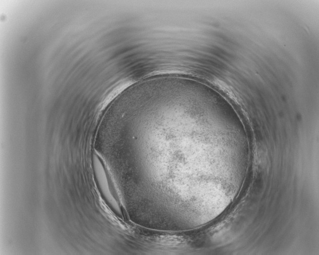 X0000086981137200704231813