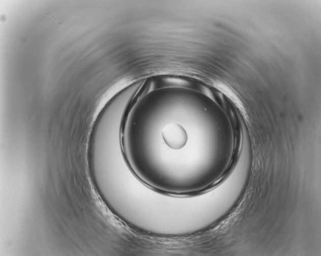 X0000086981138200704231813