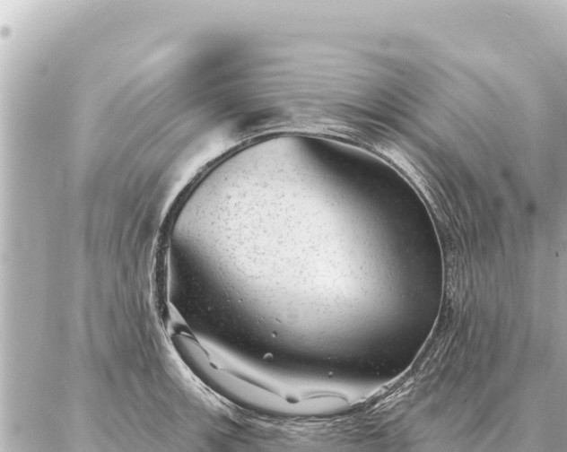 X0000086981139200704231813