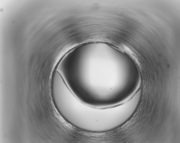 X0000086981140200704231813