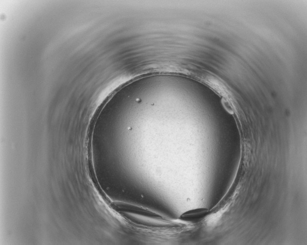 X0000086981141200704231813