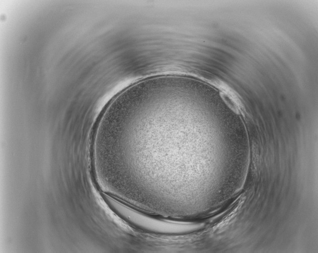 X0000086981142200704231813