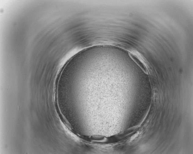 X0000086981143200704231813