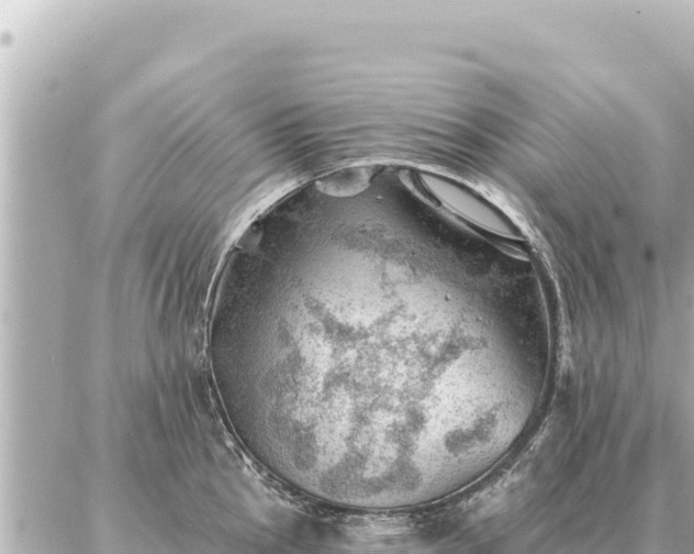 X0000086981145200704231813