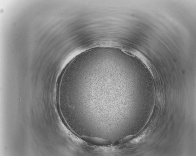 X0000086981147200704231813