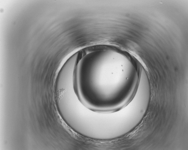 X0000086981148200704231813