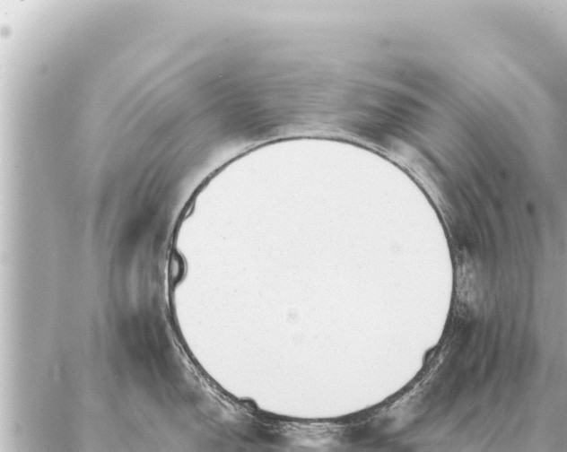 X0000086981150200704231813