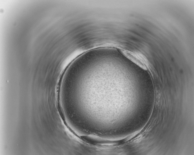 X0000086981151200704231813