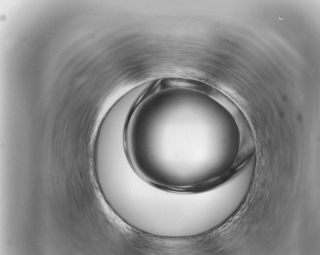 X0000086981152200704231813