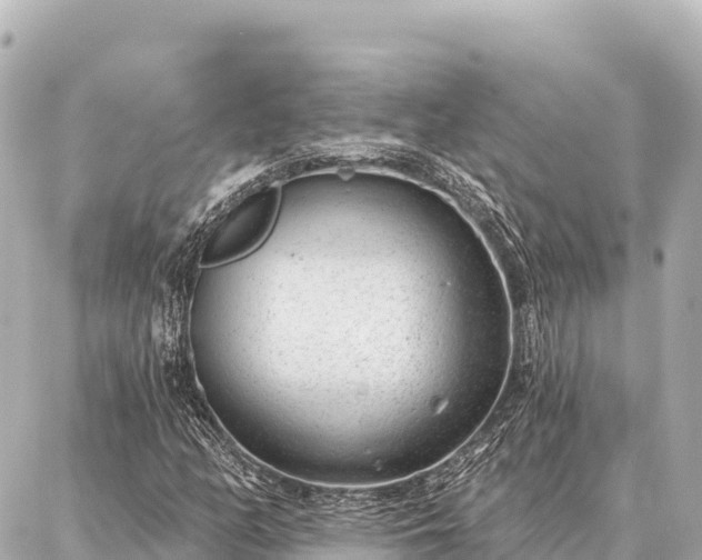 X0000086981158200704231812