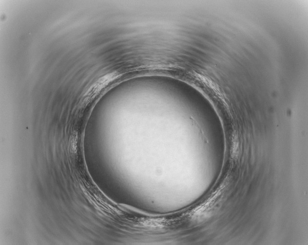 X0000086981161200704231812