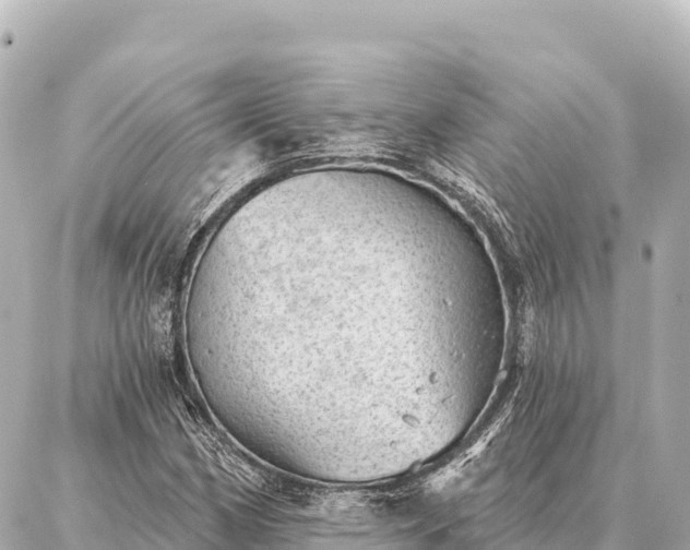 X0000086981162200704231812