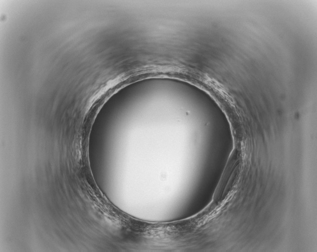 X0000086981165200704231812