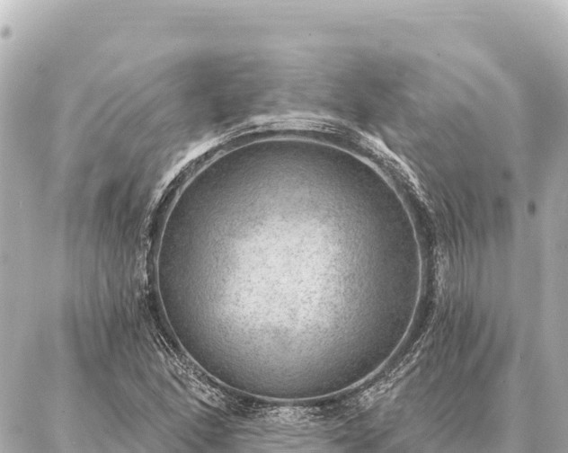 X0000086981166200704231812