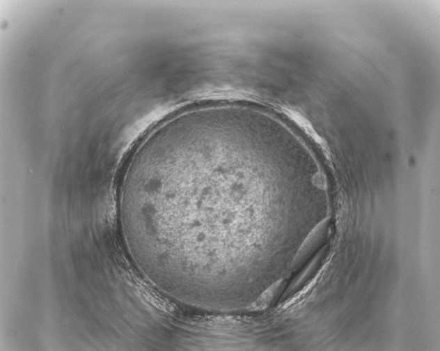 X0000086981167200704231812