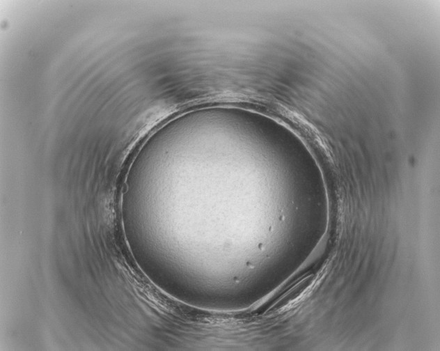 X0000086981170200704231812