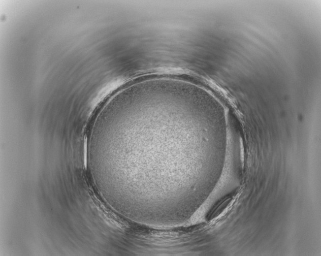 X0000086981171200704231812