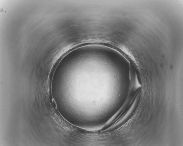 X0000086981173200704231812