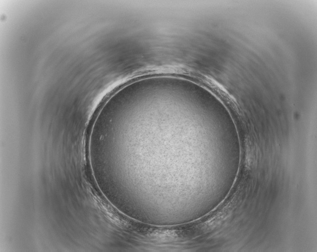 X0000086981174200704231812