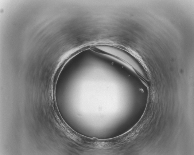 X0000086981176200704231812