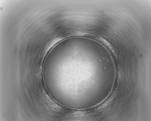 X0000086981178200704231812