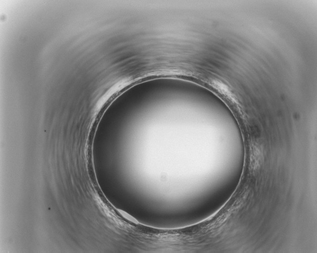 X0000086981181200704231812