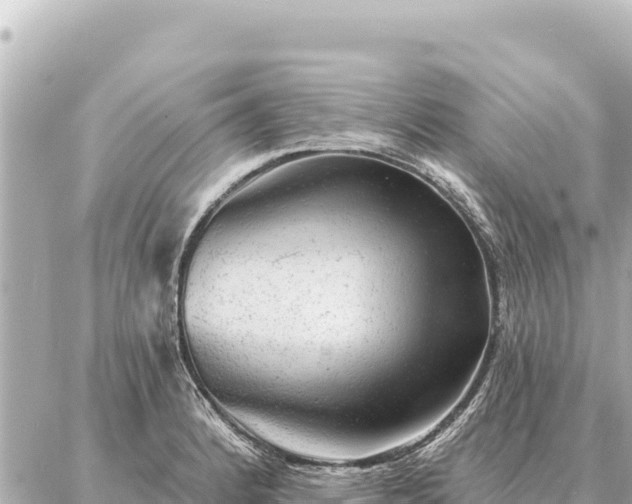 X0000086981184200704231812