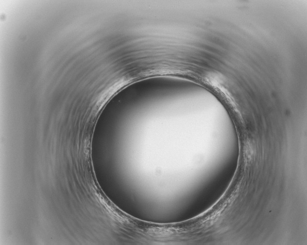 X0000086981185200704231812