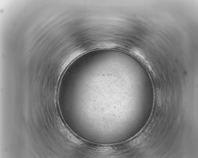 X0000086981186200704231812