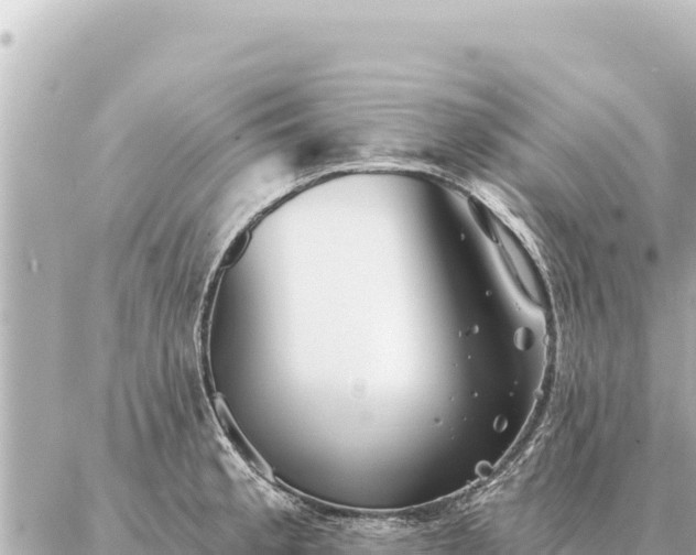 X0000086981189200704231812