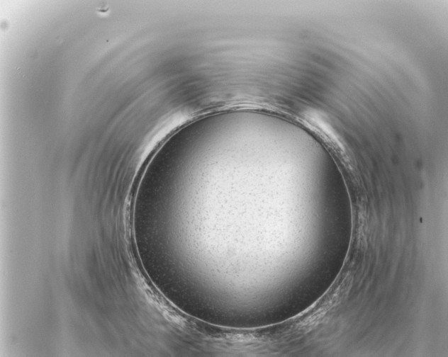 X0000086981190200704231812