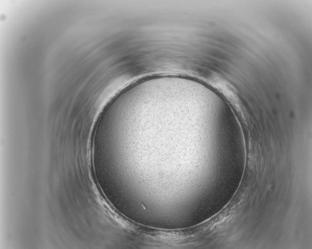 X0000086981191200704231812